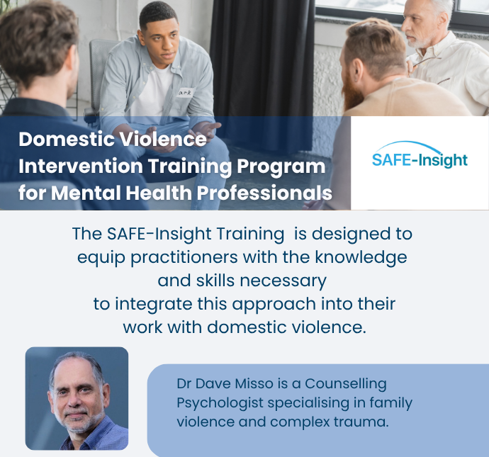SAFE-Insight DV Program Image for IIP